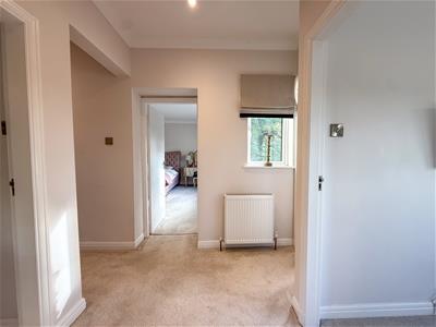 Picture 28